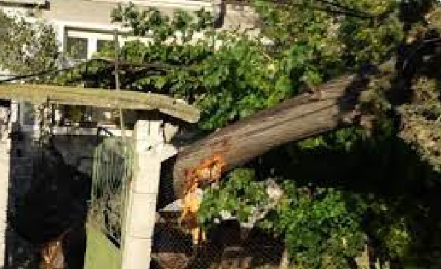 Няколко села в Бургаска област са без ток след бурята