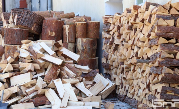 Двойно се е увеличило търсенето на дърва за огрев в община Добричка