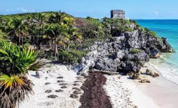 Новооткрит град на маите спира мащабен железопътен проект в Мексико