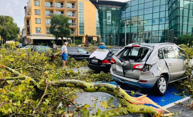 Мощна буря удари Бургаско Паднали дървета съборени къщи и яхти