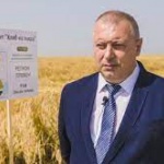 Зърнопроизводител:Натискът от свръхпредлагането оказва ефект върху пазара