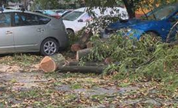 Мощна буря с ураганен вятър се е разразила в Северозападна