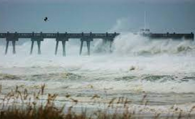 Валежите свързани с урагана Иън който опустоши щата Флорида са