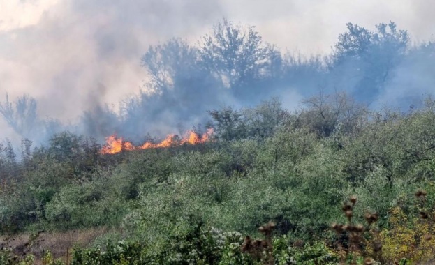 Голям пожар избухна във Варна съобщиха от полицията Сигналът за