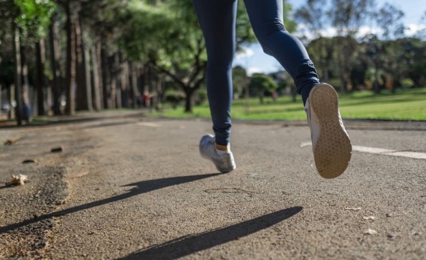 Повече от 3500 заявки са подадени за участие в Софийския