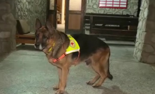Кучетата от Планинската спасителна служба в Банско са оборудвани със специални GPS устройства