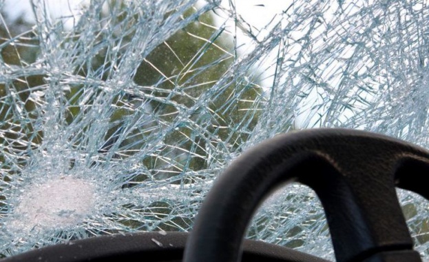 18 годишен дрогиран шофьор се удари с камиона си в дърво