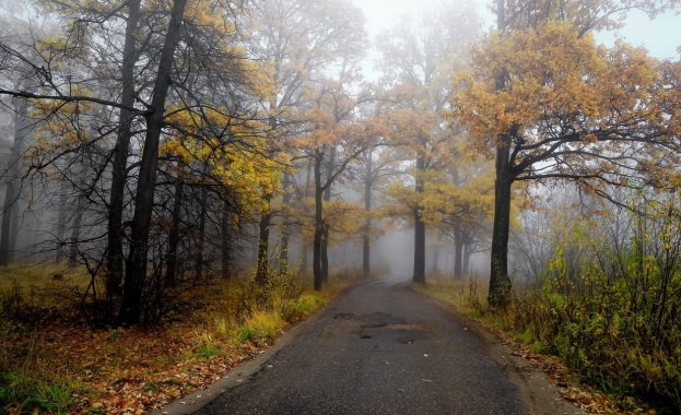 През нощта над Западна България облачността ще е значителна а
