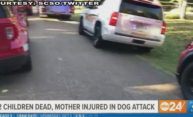 Трагедия се разигра в предградията на американския град Мемфис пише