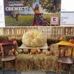 Най-голямата тиква в Източна Европа пристига в Kaufland Горубляне 