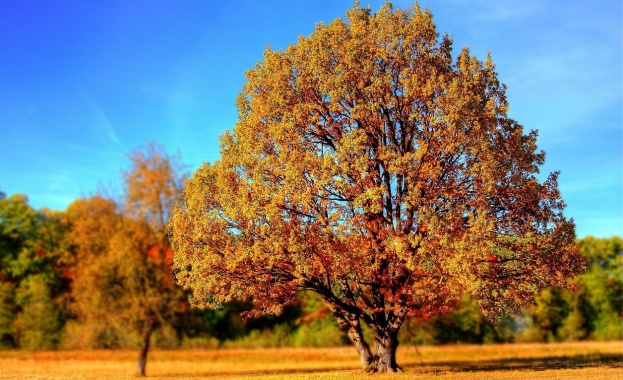 Днес над страната ще има променлива облачност но ще остане