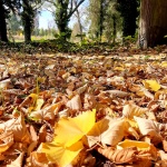 Предстоящи събития в страната на 3 ноември 2022 г.