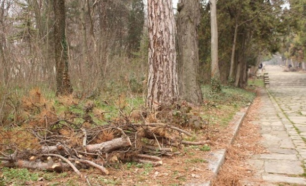 Сигнал до БНТ от Ивайло Антонов от Варна Мъжът твърди
