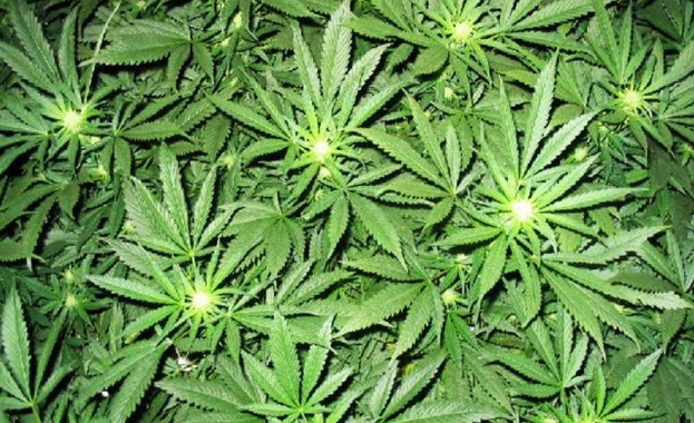 Петима души включително и двама 18 годишни ученици са задържани за