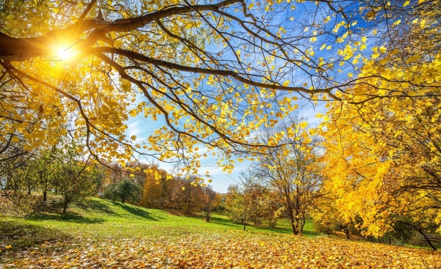 През нощта ще бъде предимно ясно със слаб южен вятър