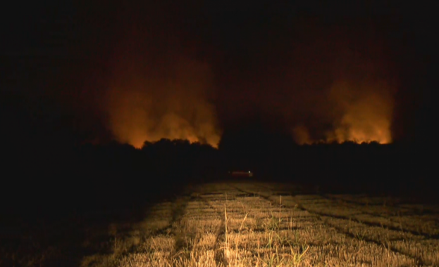 Овладян е пожарът в Рудник 2 на Мини Марица
