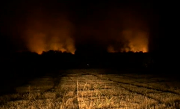 Цяла нощ 4 противопожарни екипа гасят избухналия на територията на