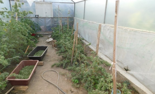 Арестуваха баща и син заради притежание на наркотици в град