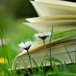 Топ 5 книги за лятната почивка
