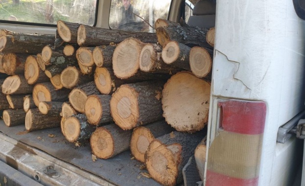 Системен нарушител на Закона за горите се опитал да подпали