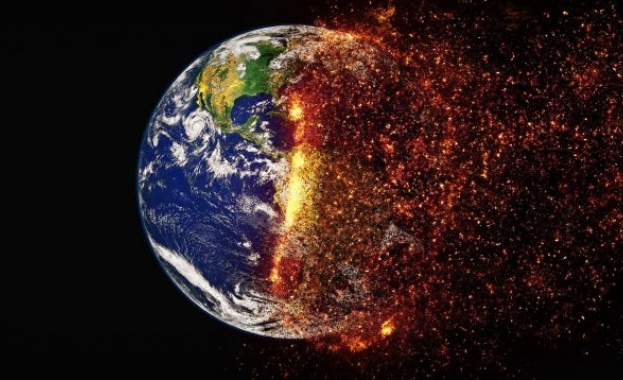 Драстични съкращения на използването на изкопаеми горива засаждане на дървета