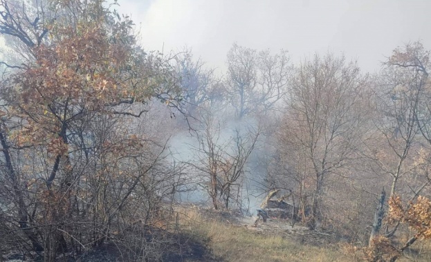 Пожарът над военния полигон Ново село не е овладян окончателно