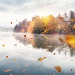 Мъгливо в равнините, в останалите райони - слънчево 