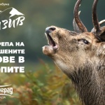 Кампанията в защита на застрашените видове в Родопите -  “Призив” успешно достигна първия си етап на дарение 