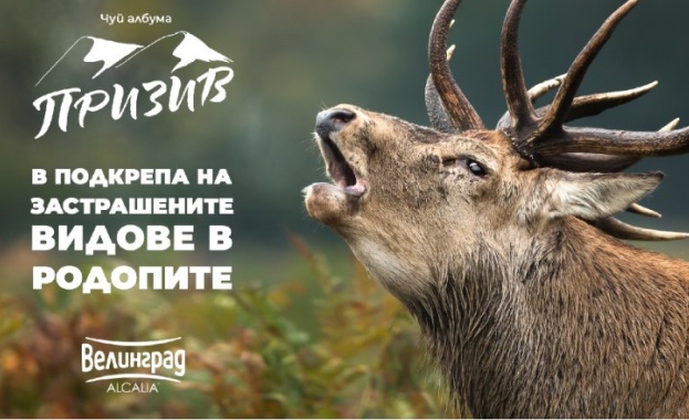 Кампанията в защита на застрашените видове в Родопите -  “Призив” успешно достигна първия си етап на дарение 