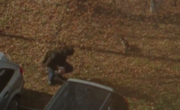 Във фейсбук групата Снимай Перник нека всички видят се появи