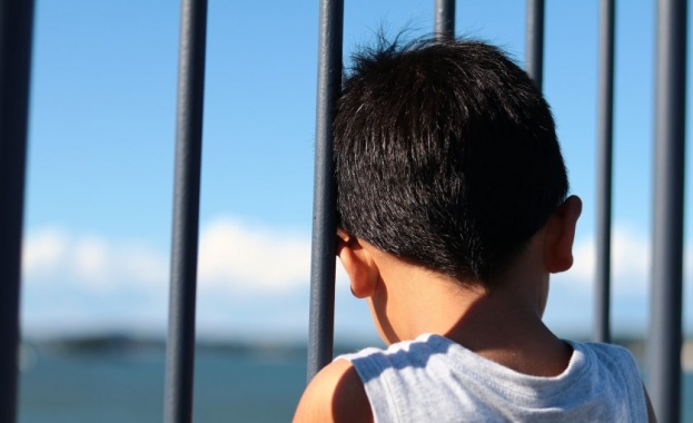 Институциите които са призвани да се грижат за случаите свързани