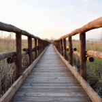 Най-простото в живота е да разбереш...