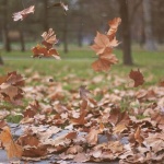 Облачно и ветровито днес