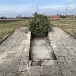 Членове на „Възраждане - Люлин“ почистиха военното гробище в Ниш