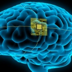 Мозъкът съхранява три копия на всеки спомен 