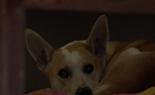 Неизвестни влязоха с взлом в частен дом в София но