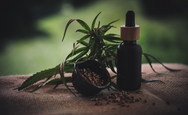 Какво са CBD продуктите – всичко което трябва да знаете