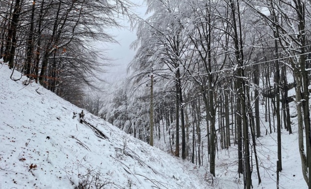 В края на миналата седмица 17 клиенти на Електроразпределение Север