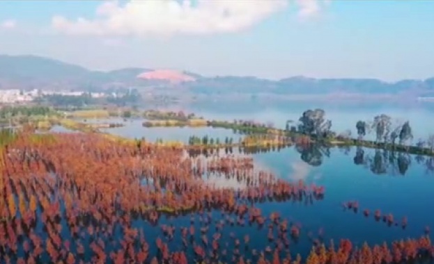 Над 40 000 са вече застрашените видове на Земята В