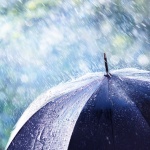 Валежи на много места в страната