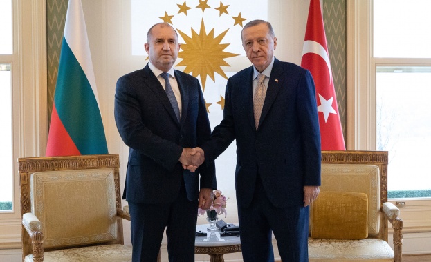 Държавният глава в Истанбул: България и Турция споделят обща отговорност за сигурността на Югоизточна Европа