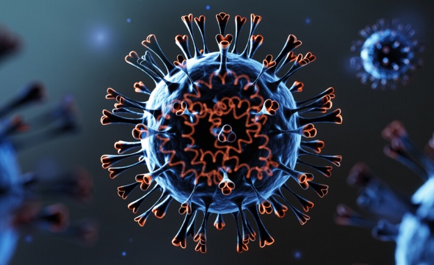 272 са новите случаи на коронавирус у нас