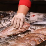 Свежи морски изкушения и разширена търговска зона в обновения хипермаркет на Kaufland в Перник- Изток