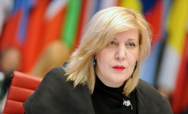 Комисарят на Съвета на Европа по правата на човека Дуня