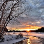 Зимно фотосафари сред дивите чукари на Родопите