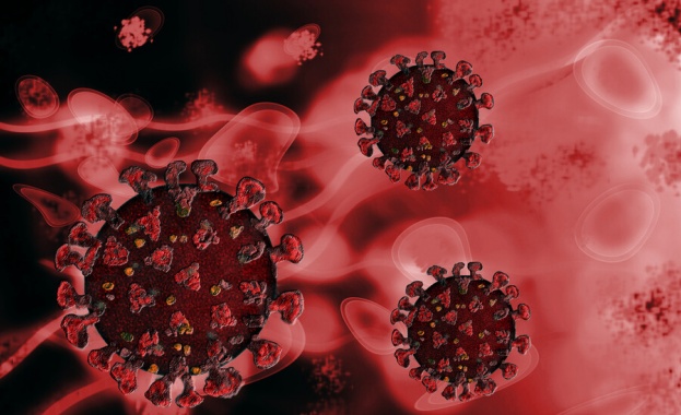 166 нови случая на коронавирус са били регистрирани през последното