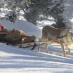 Дядо Коледа потегли от Лапландия