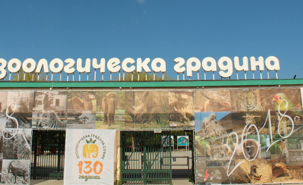 Рекорден брой граждани и гости на София са посетили зоологическата