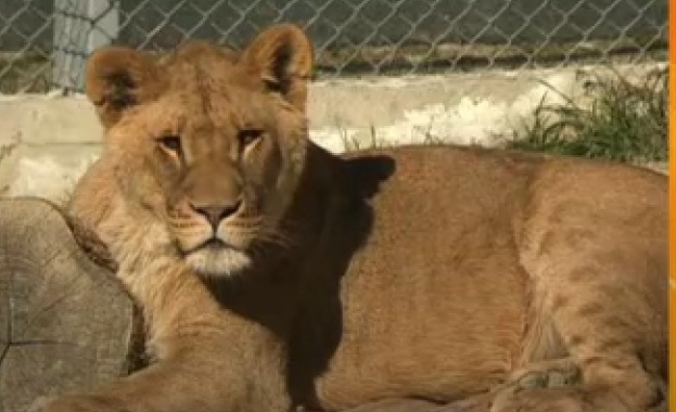 Декември е месецът в който българите отделят най много средства за