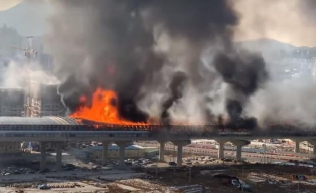 Най малко петима души загинаха а 37 бяха ранени при тежка